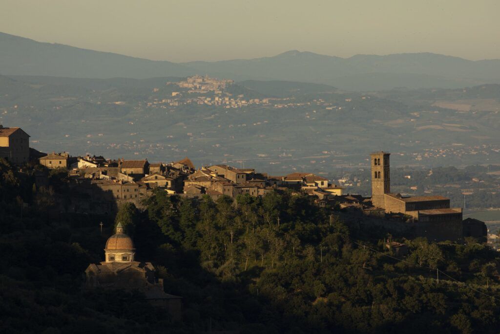 A wide shot of a far off city. The city is full of brown stone buildings and surrounded by dark green trees.