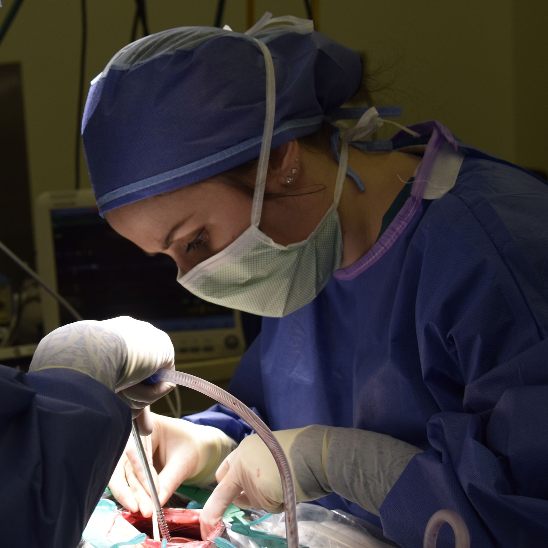 Dr. Jessica Comolli practices veterinary medicine in her blue scrubs, scrub cap, and mask. She is doing surgery on an unseen animal.