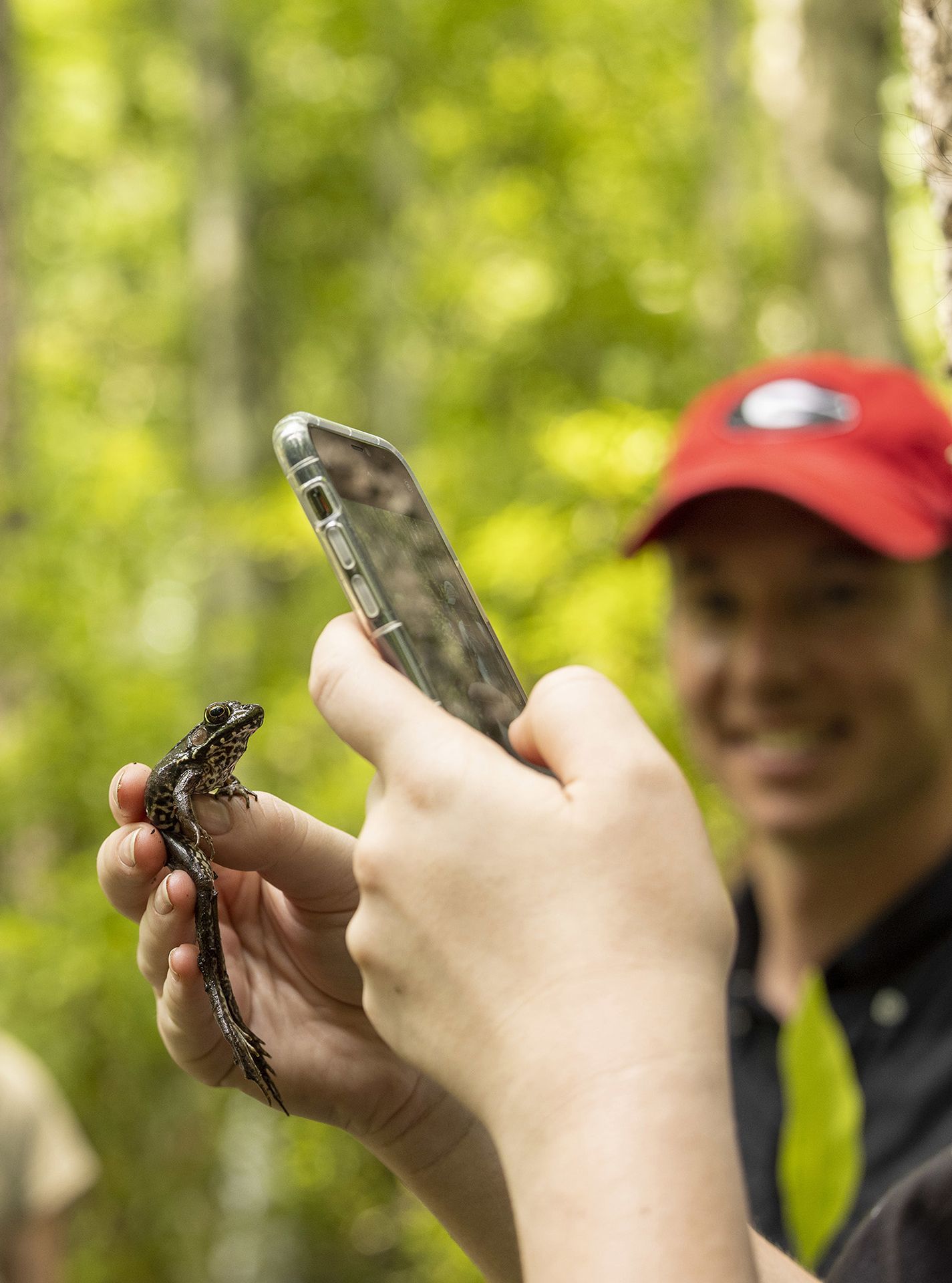 A closeup of someone's hands as they take a photo of a brown and black frog with their cellphone. There is a blurred figure in the background smiling and wearing a red baseball cap.