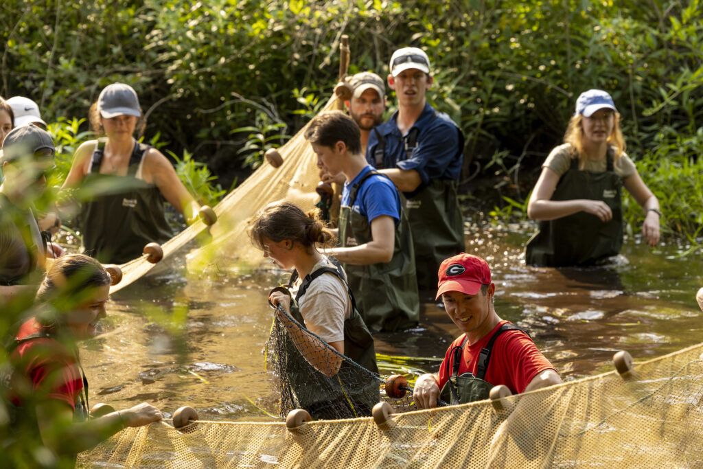 A group of students and researchers in dark waders and outdoor clothing works together to pull a large pale net across a swampy river.