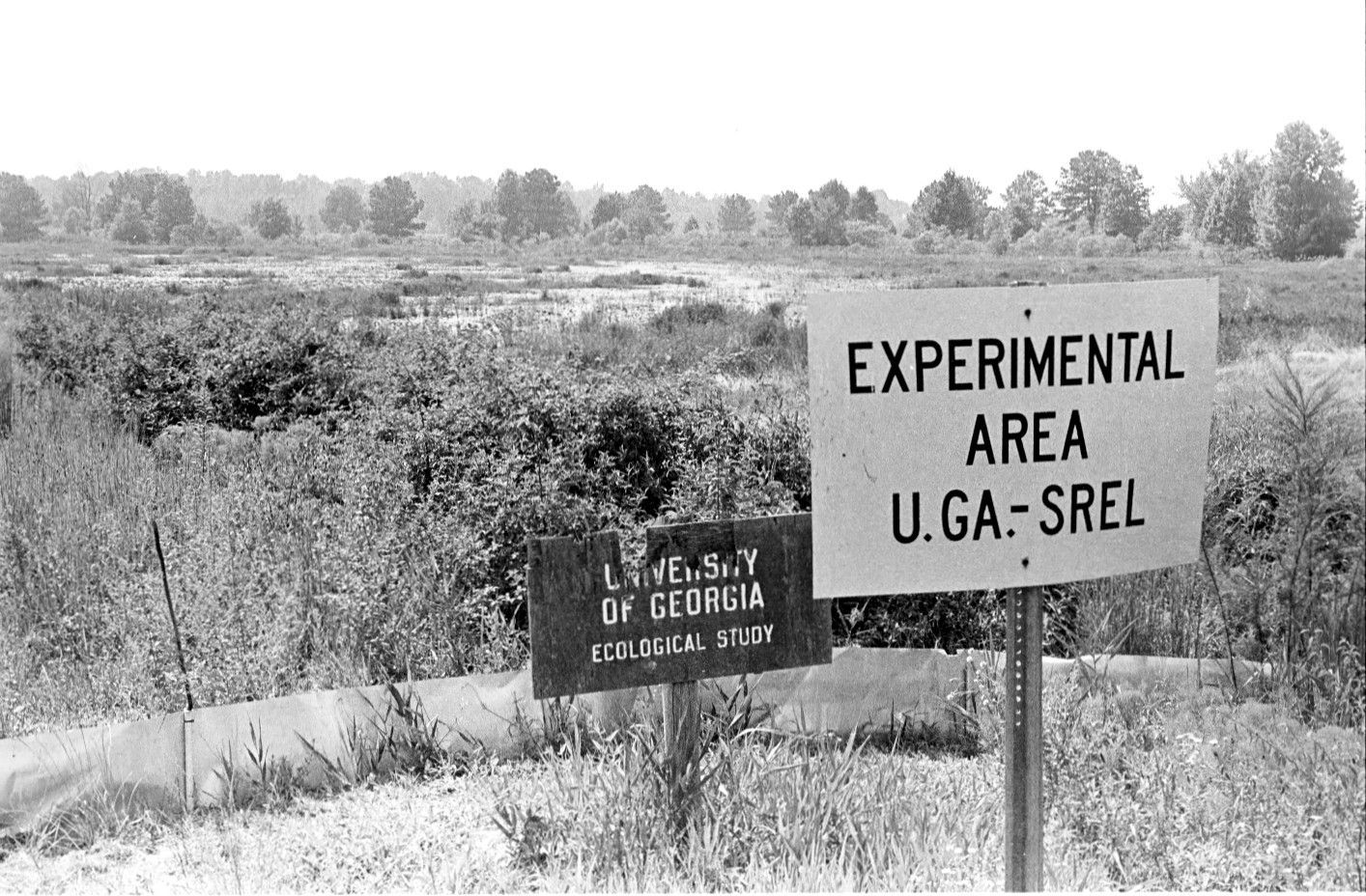 A black and white photo of the nature reserve known as the Savannah River Site. There are two signs. One says "Experimental Area U.GA-SREL". The other says "University of Georgia ecological study".