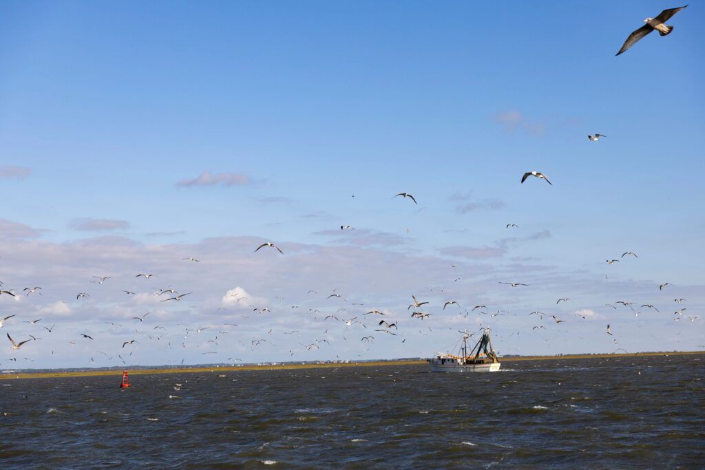 Hundreds of seagulls flock through the sky. A small white boat floats in the water underneath the birds.