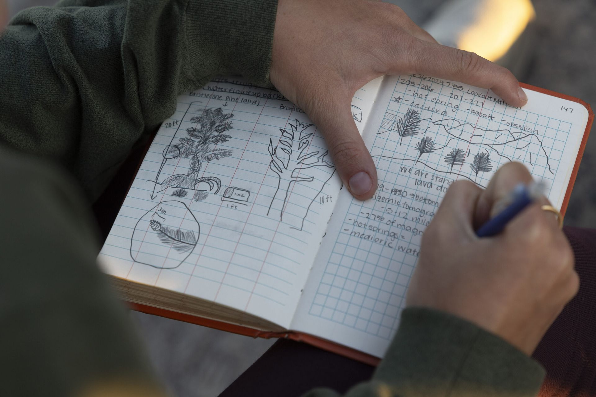 A detail shot of hands writing in a note, which includes sketches of trees and mountains.