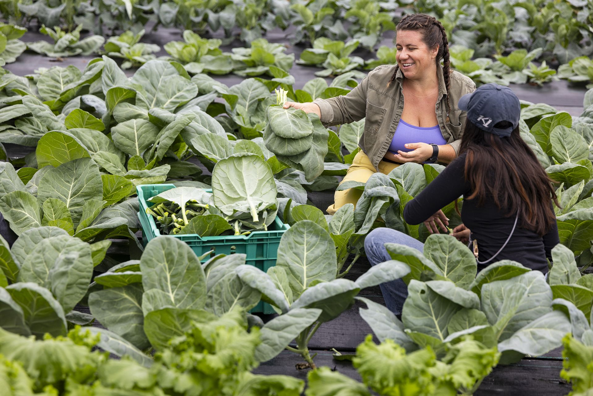 Two young women in comfortable clothing kneel in a garden surrounded by shorts plants with large green leaves.