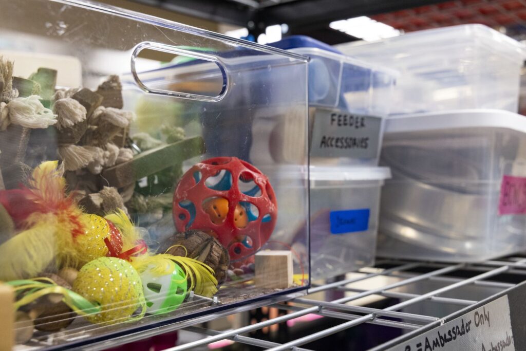 Clear plastic bins are filled with colorful toys for pets and zoo animals.