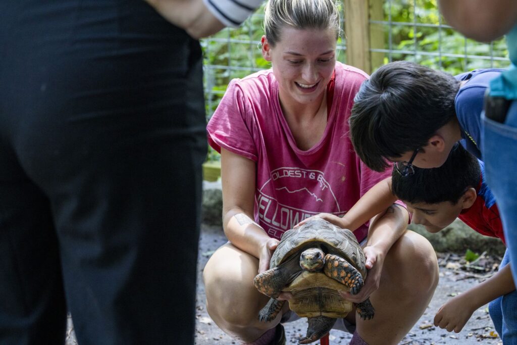 An intern at Bear Hollow Zoo in a pink t-shirt holds a green and yellow tortoise as she crouches on the ground. She is surrounded by small children who are fascinated by the turtle.