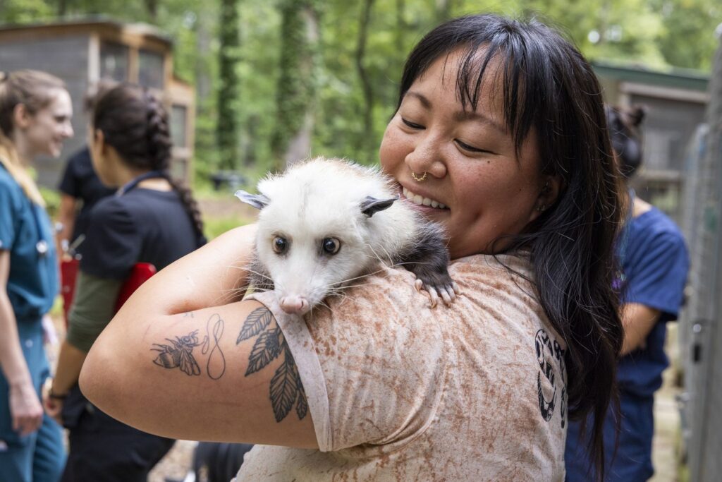 A closeup of a smiling woman holding a white and grey opossum on her shoulder at Bear Hollow Zoo.