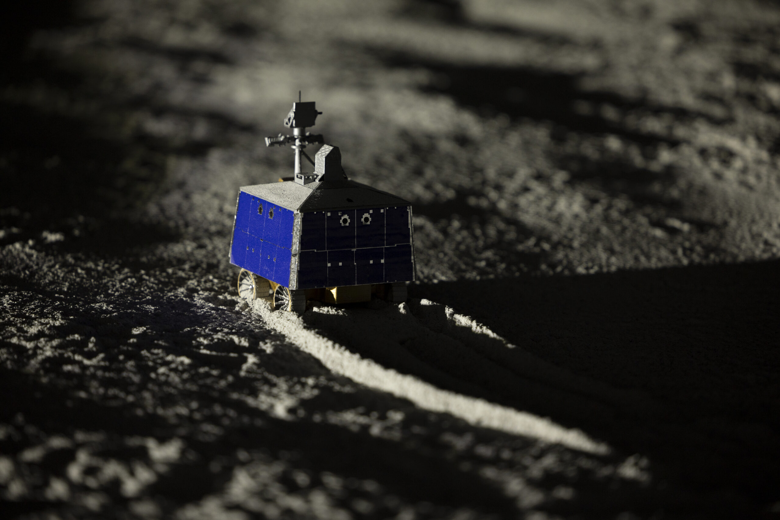 A close-up of a tiny robot in the sand.